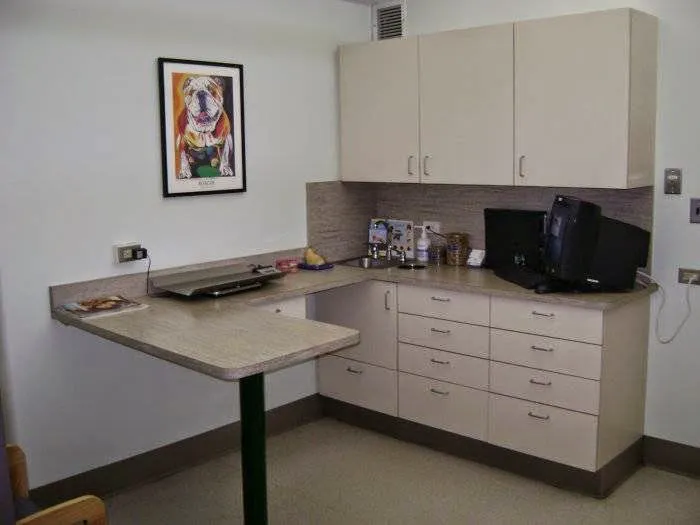 VCA Aspenwood Animal Hospital 12
