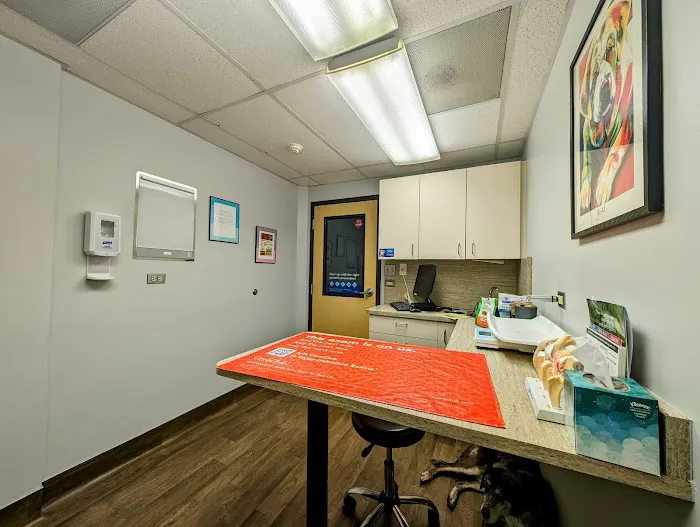 VCA Aspenwood Animal Hospital 12