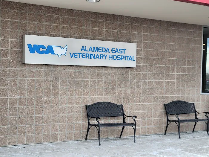 VCA Alameda East Veterinary Hospital 5