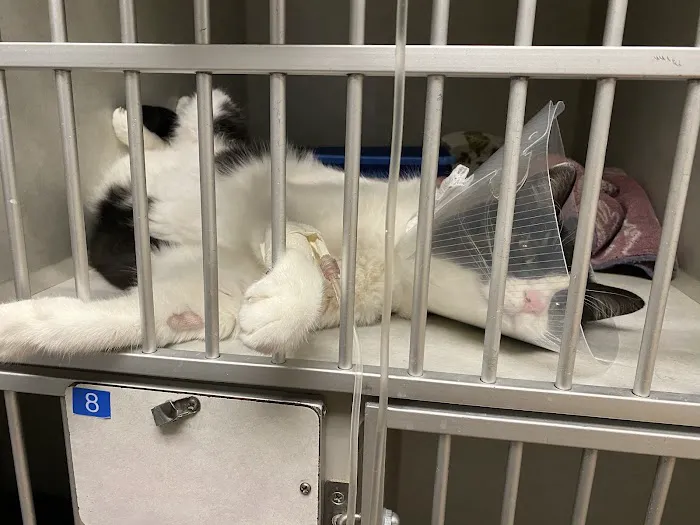 Pets On Broadway Animal Hospital 7