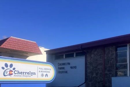 Cherrelyn Animal Hospital