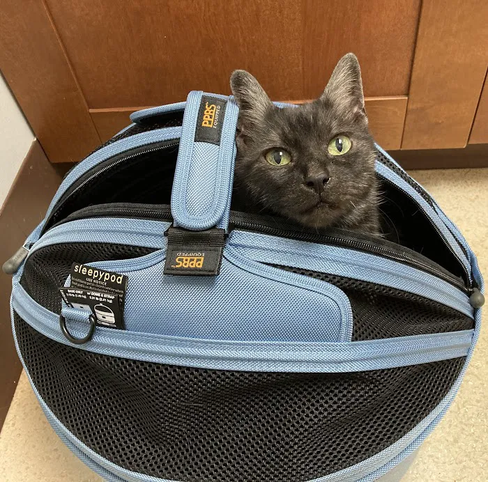 Park Animal Hospital and Wellness Center 12
