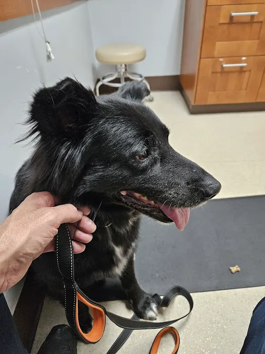 Park Animal Hospital and Wellness Center 12