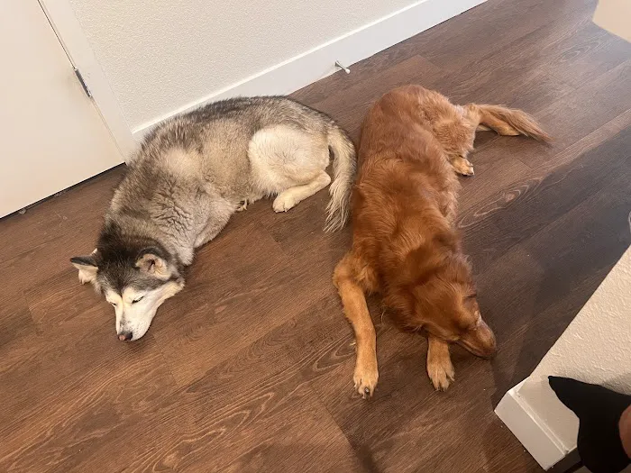 Park Animal Hospital and Wellness Center 12