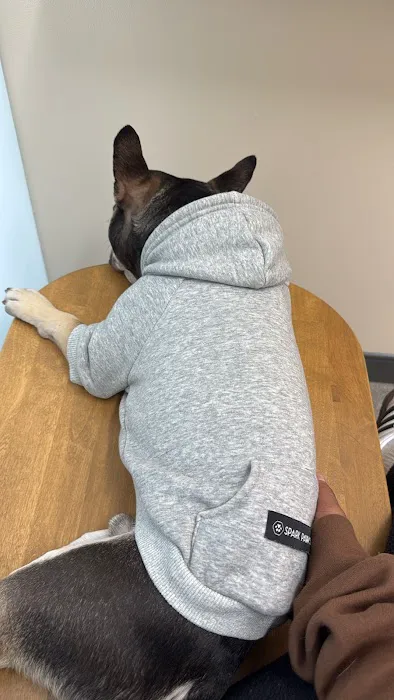 Sploot Veterinary Care - Greenwood Village 12