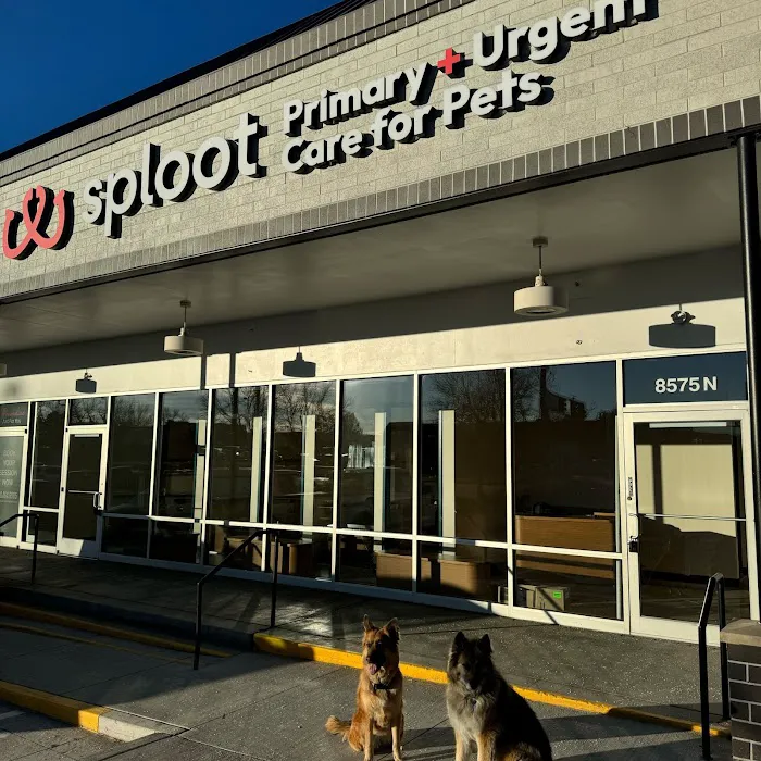 Sploot Veterinary Care - Greenwood Village 12