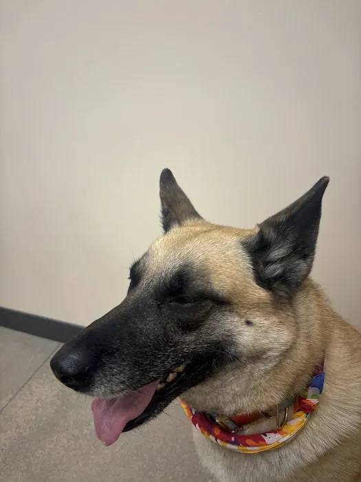 Sploot Veterinary Care - Greenwood Village 12