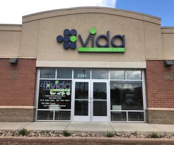 VIDA Veterinary Care - Centennial