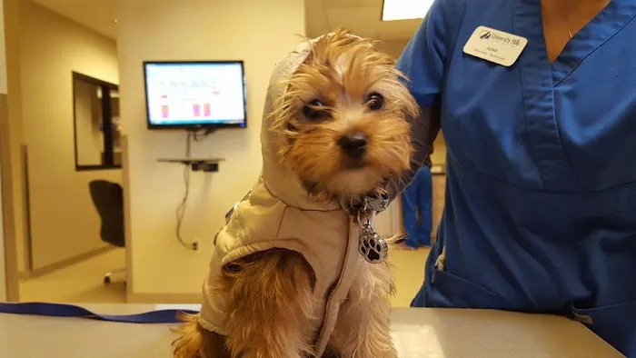 VIDA Veterinary Care - Centennial 12