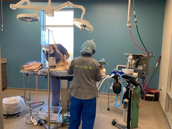 VIDA Veterinary Care - Centennial 12