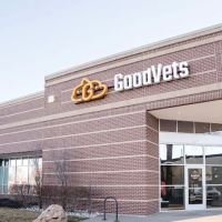GoodVets South Denver ico