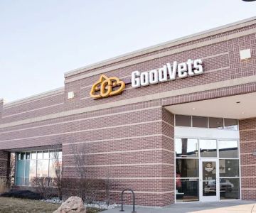 GoodVets South Denver