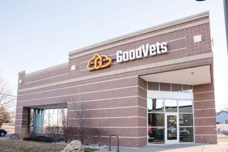 GoodVets South Denver