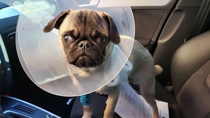 Broadway Estates Veterinary Clinic 12