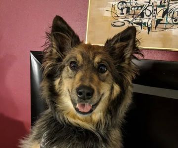 Greenwood Village Veterinary Clinic