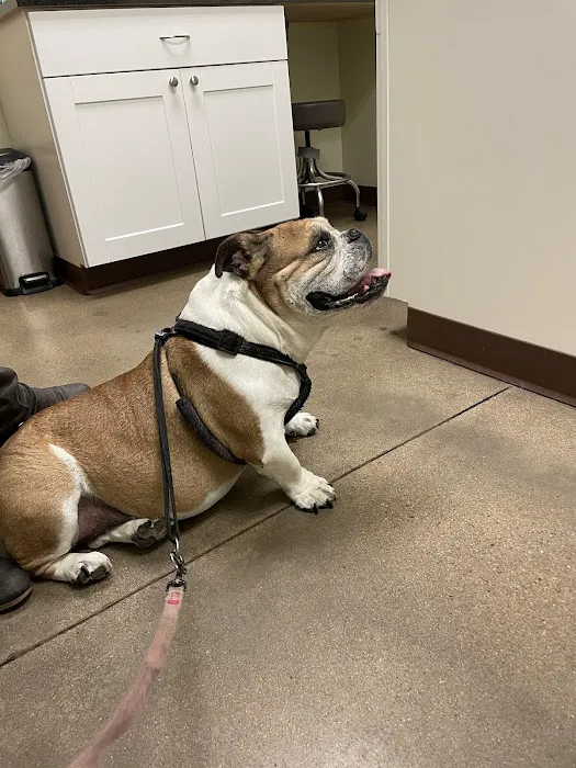 Greenwood Village Veterinary Clinic 12