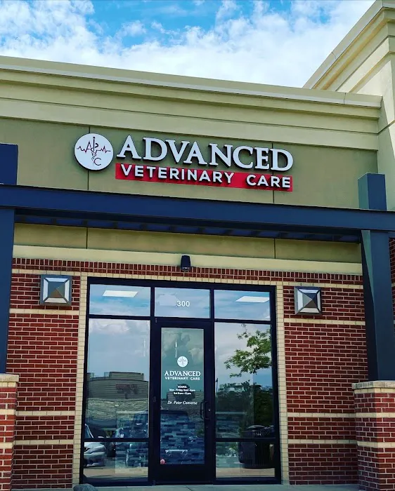 Advanced Veterinary Care of Greenwood Village 12