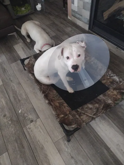 Advanced Veterinary Care of Greenwood Village 12