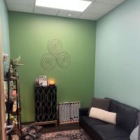 PetVet365 Pet Hospital Denver / University ico