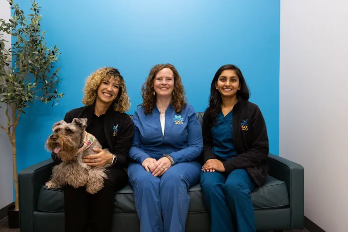 PetVet365 Pet Hospital Denver / University 12