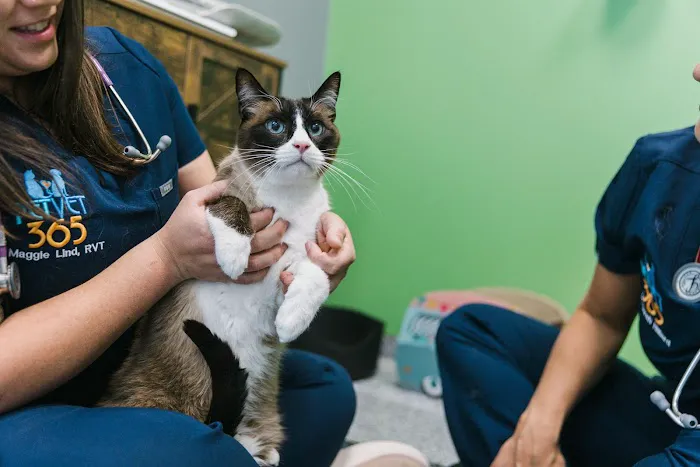 PetVet365 Pet Hospital Denver / University 12