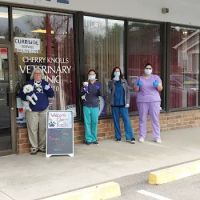 Cherry Knolls Veterinary Clinic ico