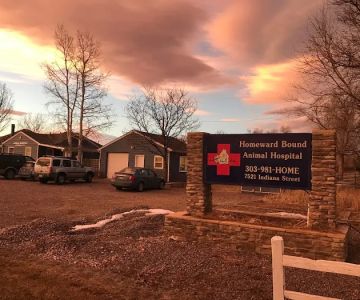 Homeward Bound Animal Hospital