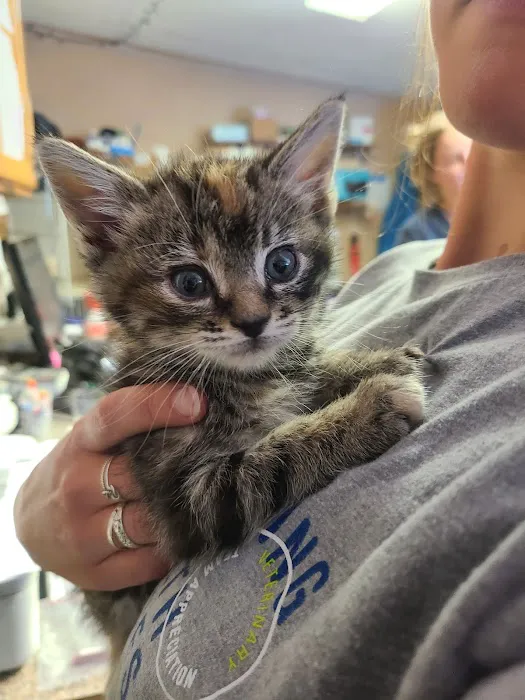 Homeward Bound Animal Hospital 10