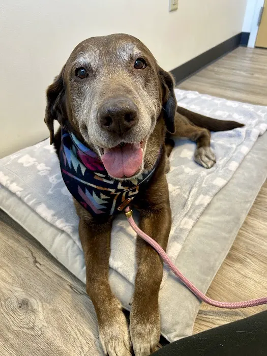 Harmony Veterinary Center 1