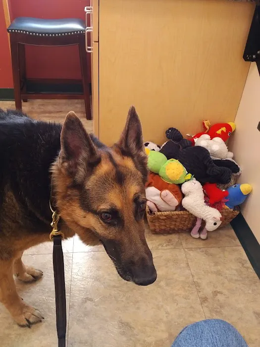 Harmony Veterinary Center 3