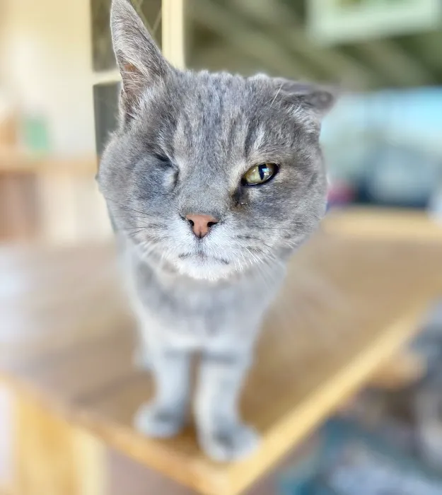Five Parks Animal Hospital 7