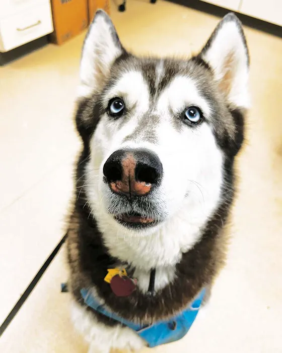 Laurel Veterinary Clinic 12
