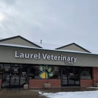 Laurel Veterinary Clinic ico