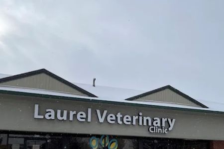 Laurel Veterinary Clinic