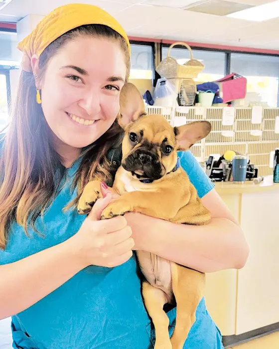 Laurel Veterinary Clinic 12