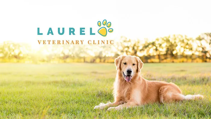 Laurel Veterinary Clinic 12