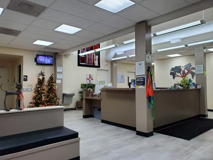 Northside Emergency Pet Clinic 4