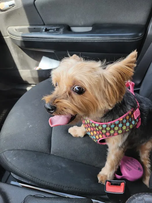 Northside Emergency Pet Clinic 7