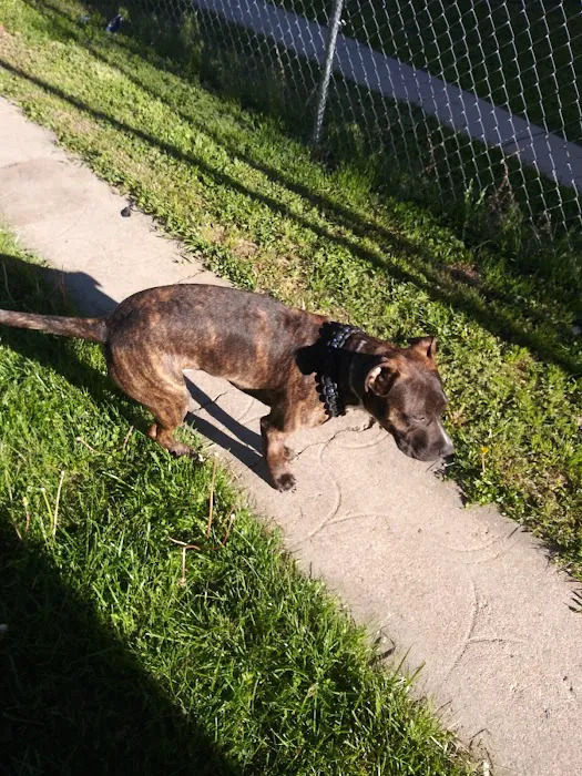 Northside Emergency Pet Clinic 9