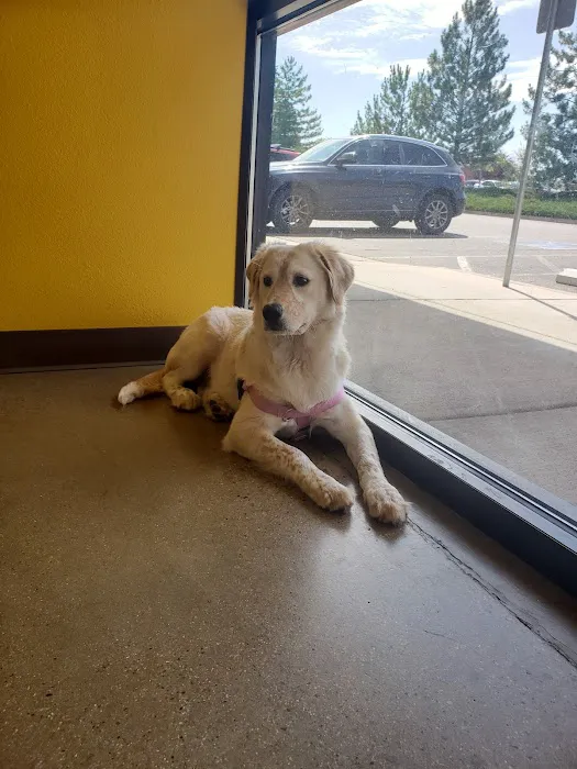 Legacy Veterinary Clinic 4