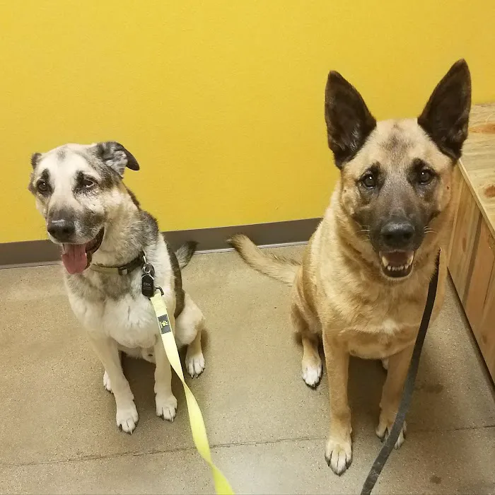 Legacy Veterinary Clinic 6