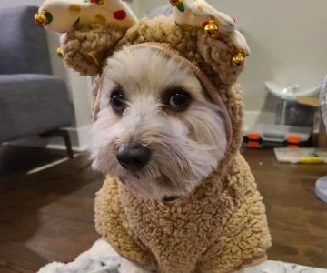 Hampden Family Pet Hospital