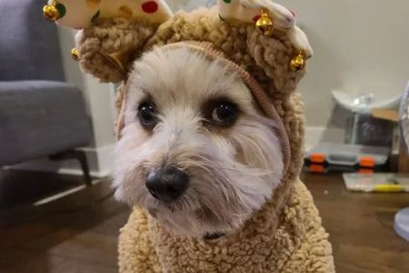 Hampden Family Pet Hospital