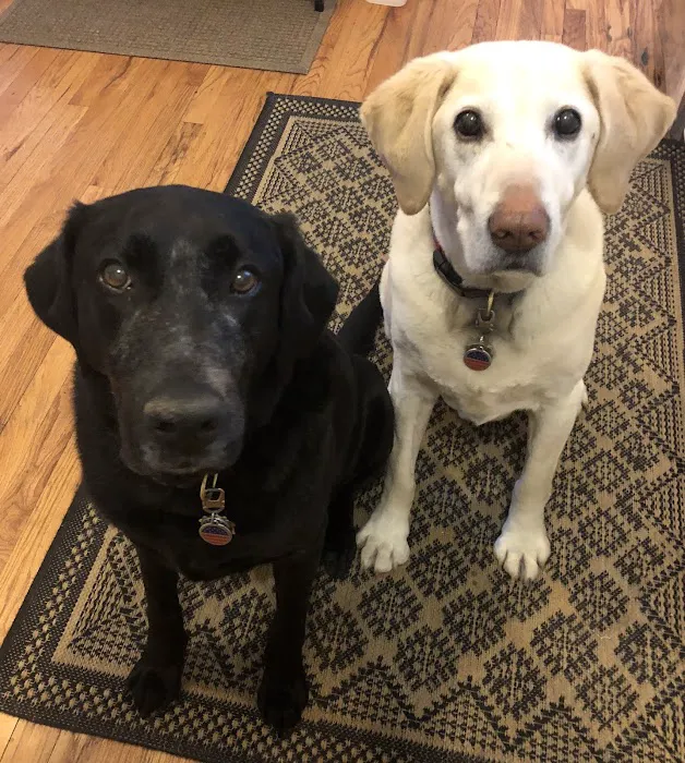 Hampden Family Pet Hospital 6