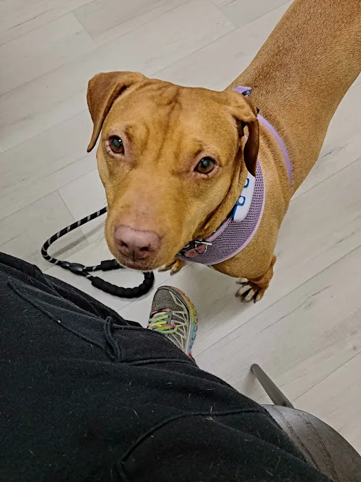Wellshire Animal Hospital 4