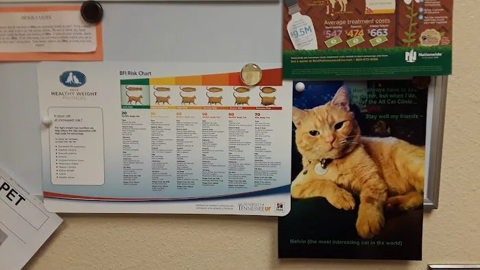 All Cat Clinic 12