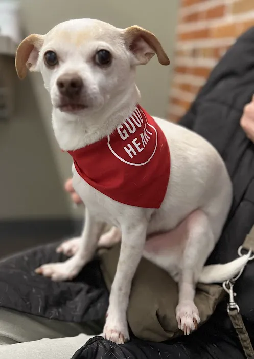 Goodheart Animal Health Center 4