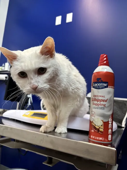 Goodheart Animal Health Center 5