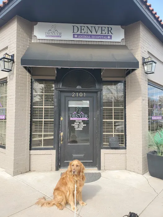 Denver Animal Hospital 12