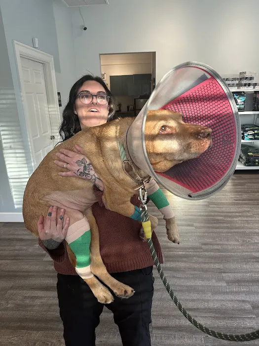 Denver Animal Hospital 12